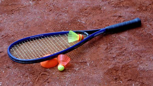 羽毛球场缓冲区:最小安全距离是多少?