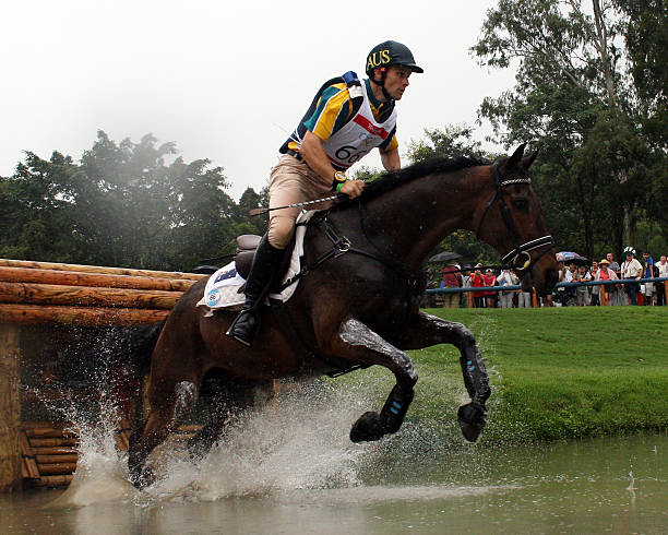 乒乓球比赛场地尺寸全解析:从奥运会到业余比赛